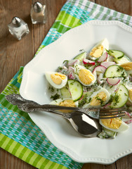 Spring salad with radishes and cucumbers