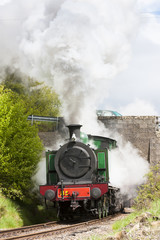 Obraz na płótnie Canvas steam locomotive, Strathspey Railway, Highlands, Scotland