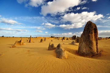Afwasbaar fotobehang The Pinnacles Desert, Nambung National park, Western Australia © cn0ra