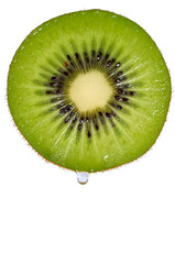 kiwi fruit
