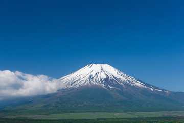 Fototapeta na wymiar Mount Fuji widziana z jeziora Yamanaka
