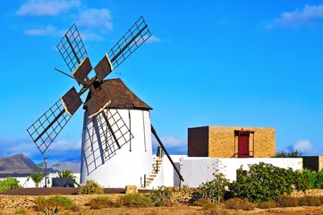 Foto op Plexiglas windmill in Tiscamanita, Fuerteventura, Canary Islands, Spain © nito