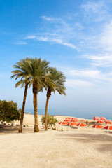 Fototapeta premium Ein Gedi oase - Israel