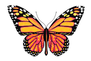 Fototapeta na wymiar Motyl w kolorach żółtym i pomarańczowym