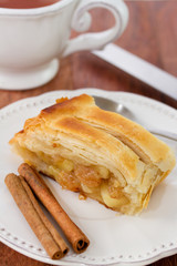 strudel with cinnamon on the plate