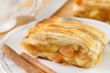 strudel with cinnamon on the plate