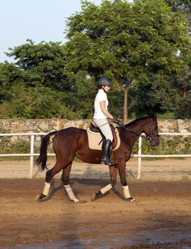 Woman Riding Her Horse In The Parcour