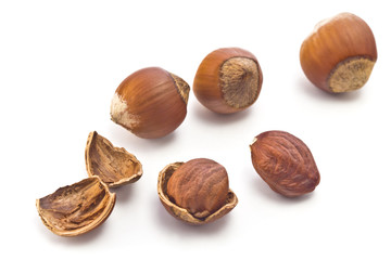 hazelnuts