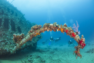 Underwater shipwreck in a tropical sea