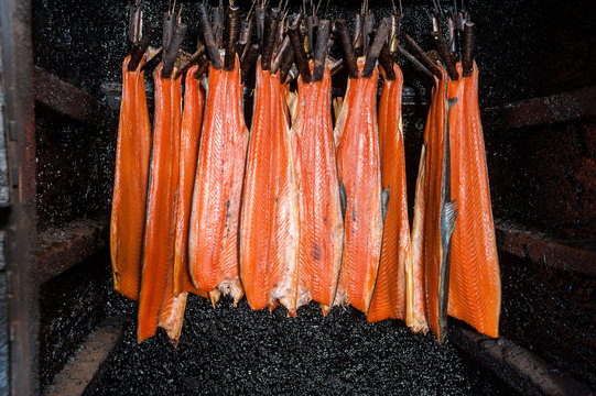 Smoking salmon in traditional British smokehouse