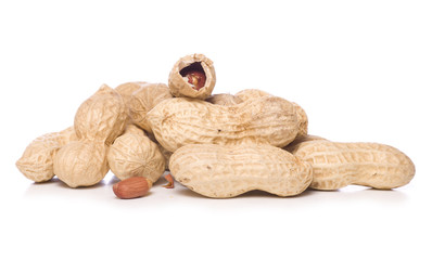 pile of monkey nuts