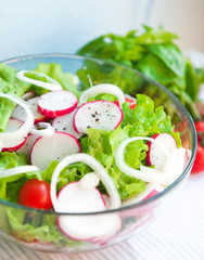 Spring salad with radishes and onions
