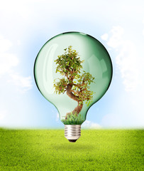 Ecologia - Proteggere la Natura © Tesgro  Tessieri