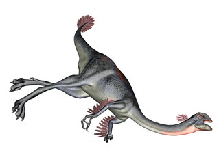 Gigantoraptor dinosaur