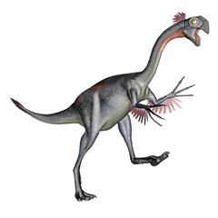 Naklejka premium Gigantoraptor dinosaur