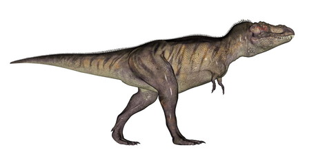 Tyrannosaurus dinosaur © Elenarts