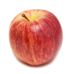 red apple over white background