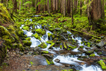 Fototapeta premium Cascade waterfall in rain forest
