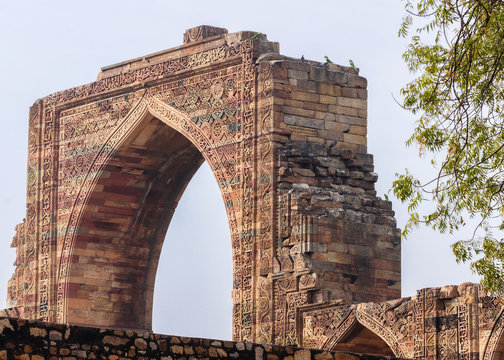 Parrots on ancient Arabic gateway at Qut'b Minar in Delhi.