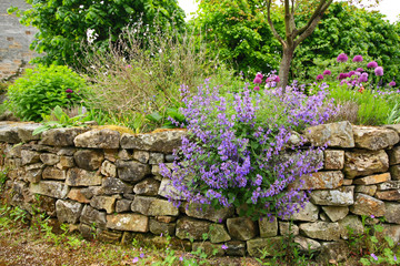 Beautiful sprign garden