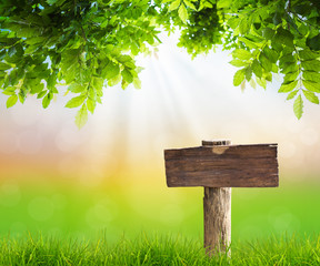 Wood sign with grass and green leaf
