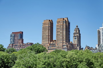 buildings et arbres verts. New York