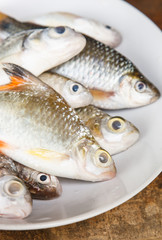 Raw fish on dish