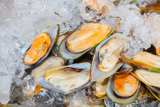 Asian green mussel was displayed and sale in Thailand