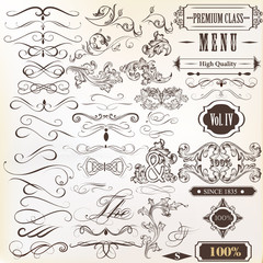 Calligraphic vintage vector design elements and page decorations