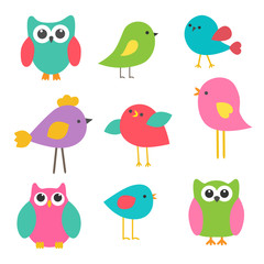 Vector set cute birds and owls