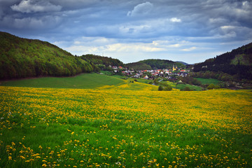 Sauerland