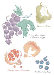 果物　くだもの　フルーツ