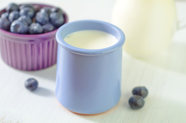 yogurt and blueberry