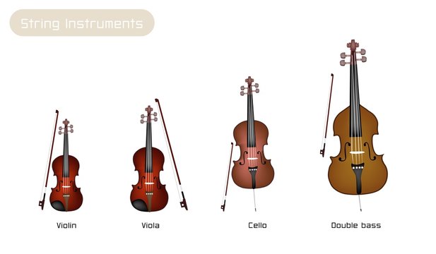 Four Musical Instrument Strings on White Background