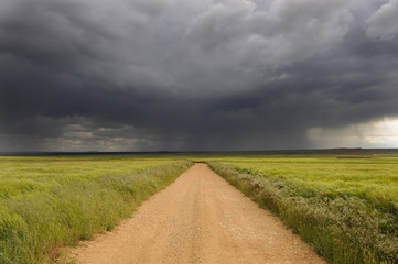 Fototapeta premium Tormenta de verano