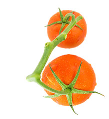 A couple of tomatoes over white background