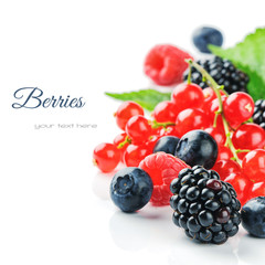 Fresh organic berries