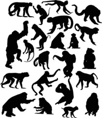 twenty two black isolated monkey silhouettes © Alexander Potapov