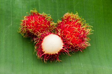 Rambutan