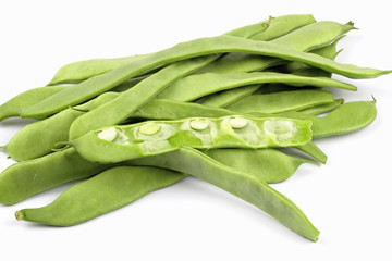 common bean
