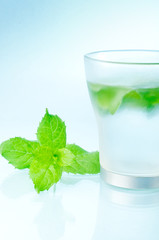 fresh mint and ice drink closeup