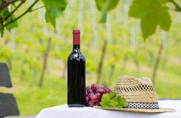wein auf dem lande