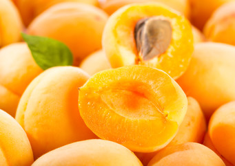 apricots