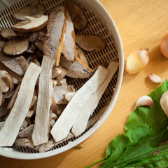 grzyb prawdziwek © JoannaTkaczuk