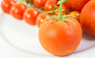 A group of various type and sizes of tomatoes
