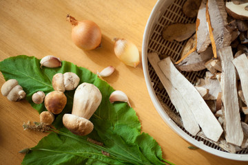 grzyb prawdziwek © JoannaTkaczuk