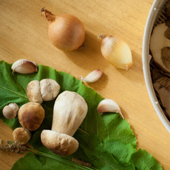 grzyb prawdziwek © JoannaTkaczuk