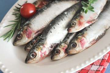 sardines
