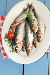sardines
