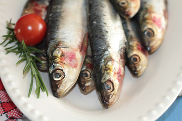 sardines